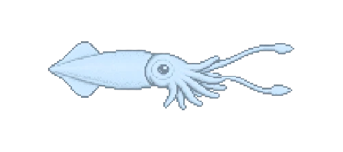 Glass Squid