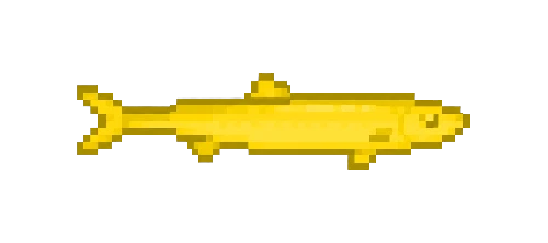 Golden Shiner