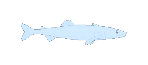 Baikal Oilfish