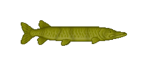 Great Lakes Muskie