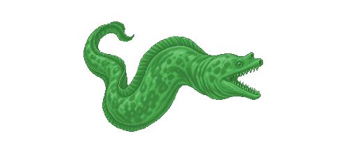 Green Moray