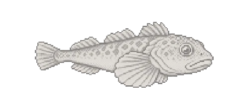 Grotto Sculpin