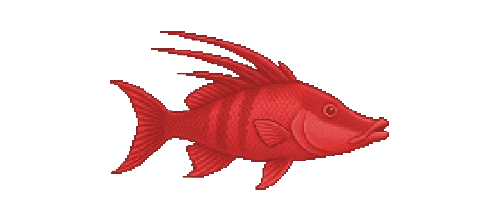 Hogfish