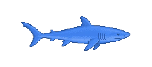 Blue Shark