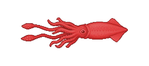 Humboldt Squid