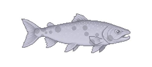 Ice Field Char