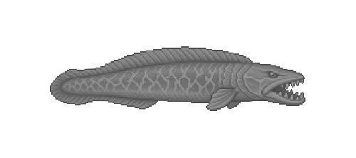 Inferno Snakehead