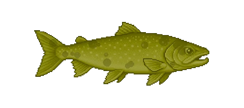 Iwana Char