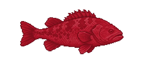 Lava Snapper