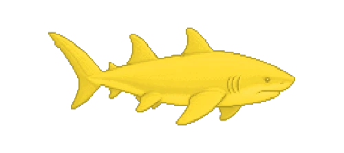 Lemon Shark