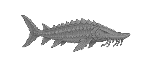 Leviathan Sturgeon