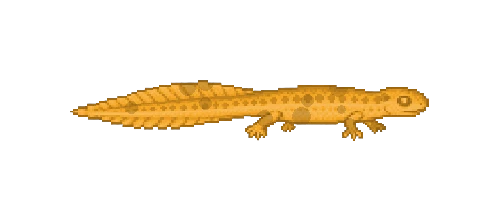 Magma Newt
