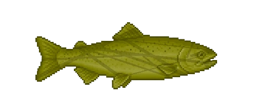 Marble Trout