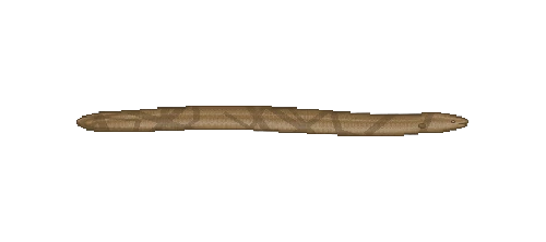 Marbled Swamp Eel