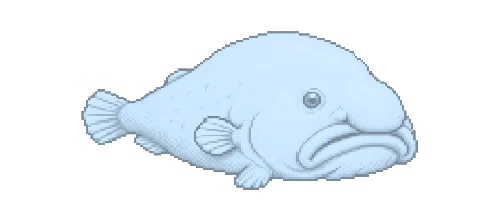Mariana Snailfish