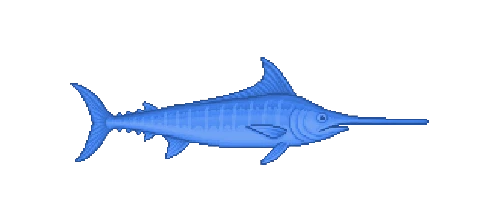 Blue Marlin