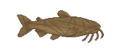 Mauri Catfish