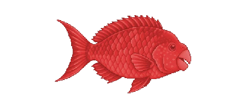 Mediterranean Parrotfish