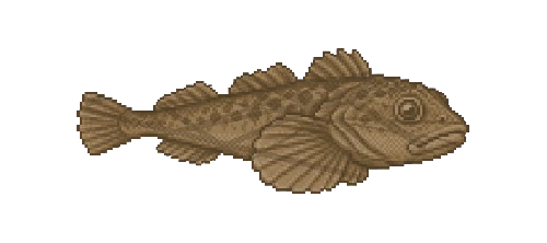 Meltwater Sculpin