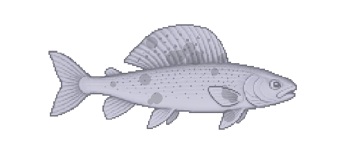 Mongolian Grayling