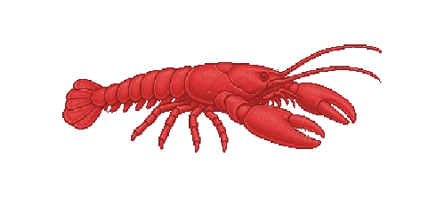 American Lobster