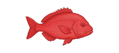 Red Snapper