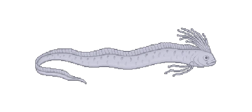 Giant Oarfish