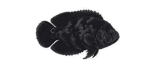 Oscar