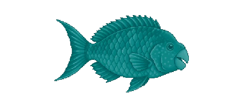 Parrotfish