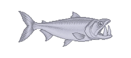 Payara