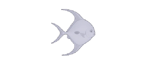 Permit