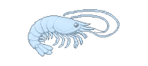 Phantom Cave Shrimp