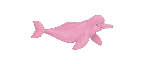 Pink River Dolphin