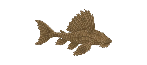 Armoured Pleco