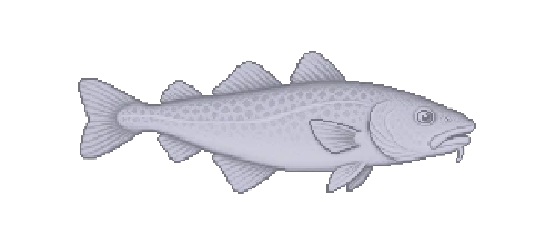 Polar Cod
