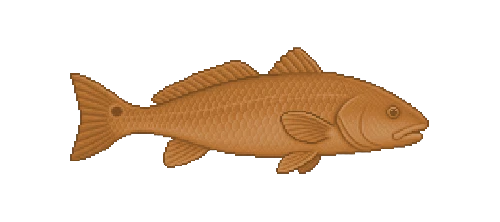 Red Drum