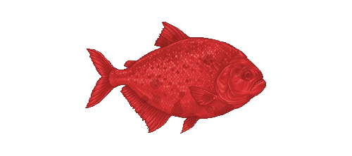 Red Piranha