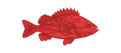 Red Scorpionfish