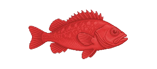 Norway Redfish