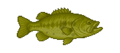Rock Bass