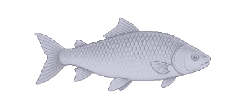 Rohu