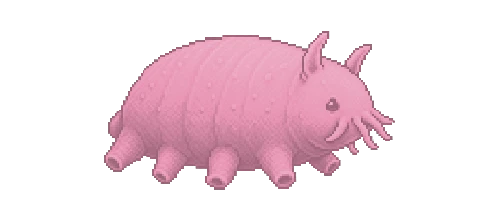 Sea Pig