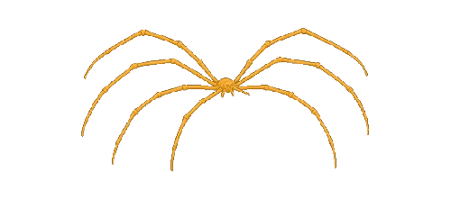 Giant Sea Spider