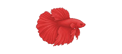 Siamese Fighting Fish