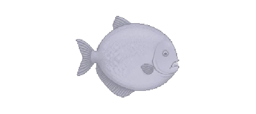 Silver Dollar