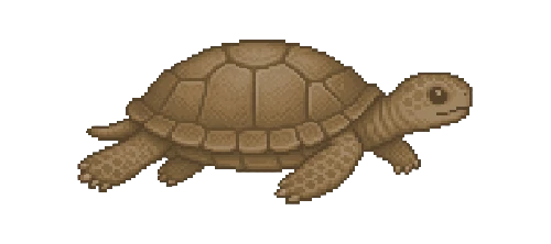 Common Snapping Turtle