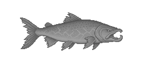Stormfin Salmon