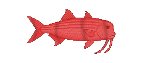 Striped Red Mullet