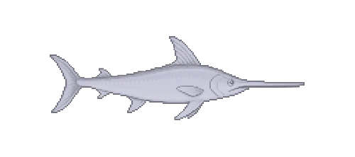 Swordfish
