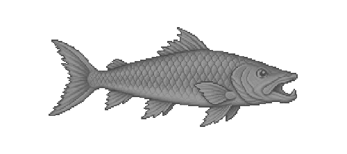 Tempest Mahseer